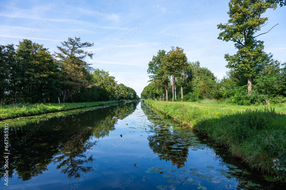 Nature reflections at the Balen Zwaling canal around Leopoldsburg, Belgium