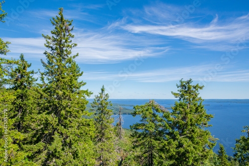 Trees on The Ukko-Koli Hill and view to Lake Pielinen on the background, Koli National Park, North Karelia, Finland