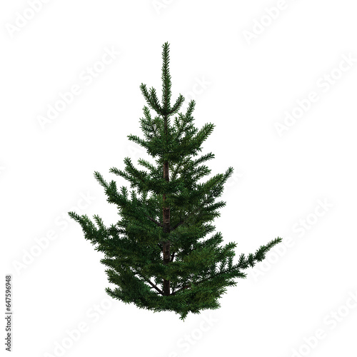 Christmas tree with decorations, isolate on a transparent background, 3d illustration, cg render 