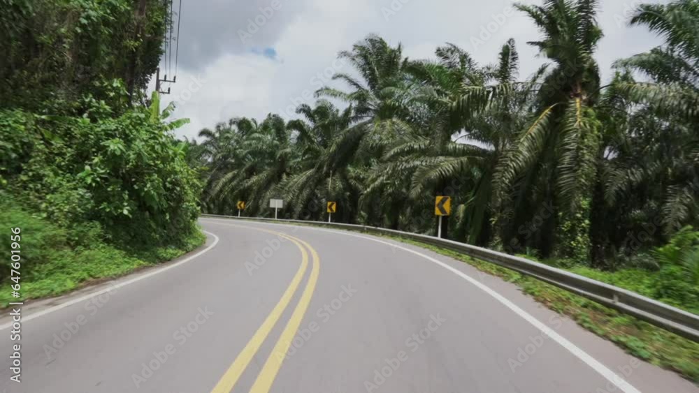 Drive backward on an empty tropical road, navigating a bend POV Drive backward on an empty tropical road, navigating a bend POV
