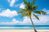 Palm tree on tropical beach and sand with blue sky background. 