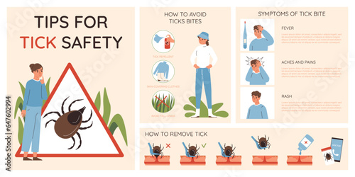 Insects Infographic Set