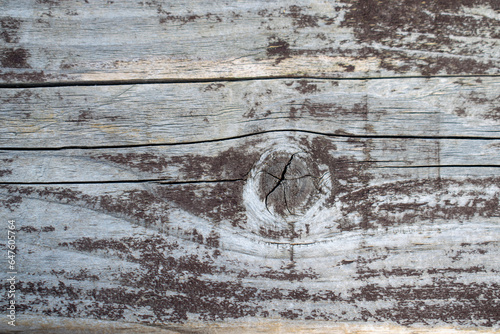 Grey aged wood background close up