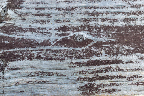 Gray aged wood background close up.