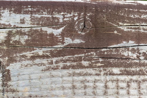 Gray aged wood background close up.