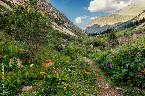 landscape with flowers and trees in the mountains