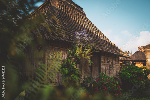 Maison traditionnelle dans le village de Penglipuran, Bali. Indonésie. 