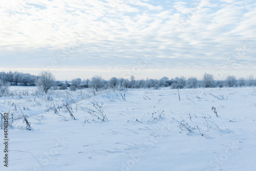 Winter landscape with frozen grass, snowy field and bare trees