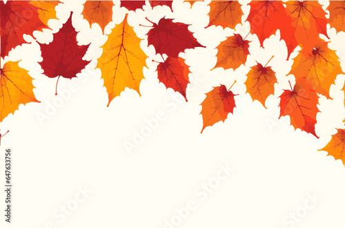 Maple leaf shrubby plants symbol of autumn a culture  white background