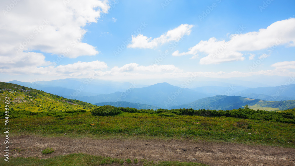 alpine travel destination of carpathian mountains. hillside of petros mountain in summer. beauty of ukrainian landscape