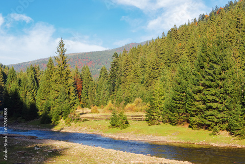 mountainous countryside scenery with river. carpathinan nature landscape in fall season. spruce trees on the shore photo