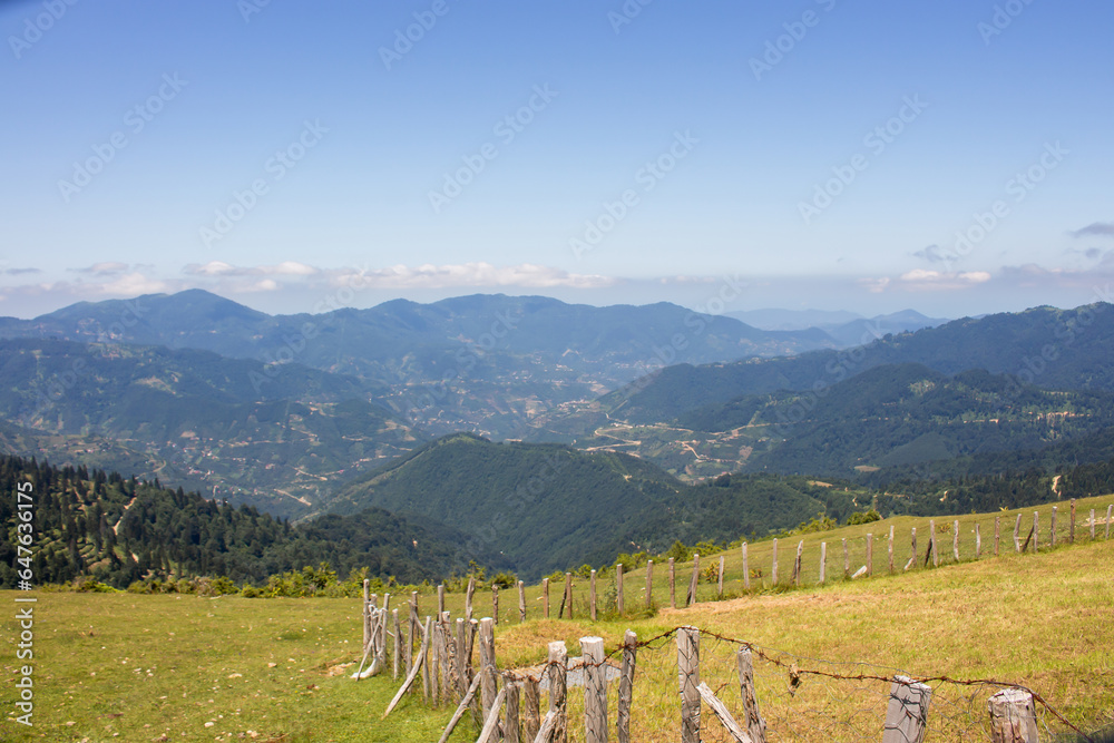 Naklejka premium Mountain range view with pine trees
