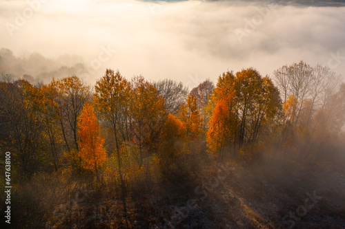 Ethereal Beauty of the Mountains: Dawn Amidst Yellow Trees and Morning Mist