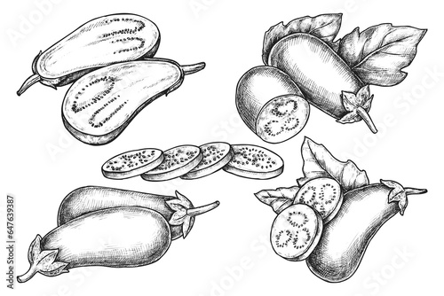 Set of isolated eggplant vector sketch. Aubergine