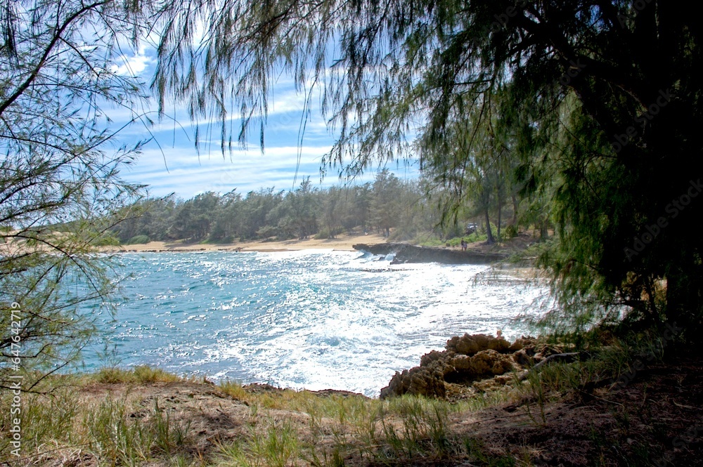 Seascape on the shore of Nawiliwili - Hawaii Seascape on the shore of Nawiliwili - Hawaii