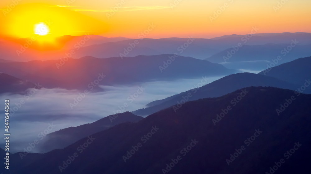 Morning dense fog in the mountainous forest area of ​​the Ukrainian Carpathians. Landscape in nature. Dawn in the mountains - obrazy, fototapety, plakaty 