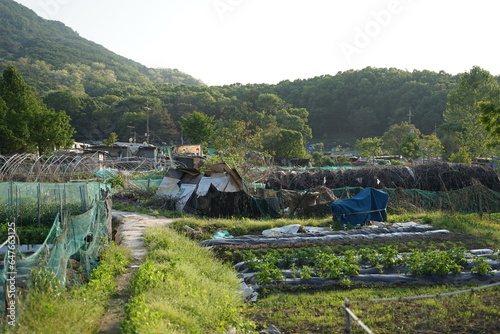 Photography Guryong Village