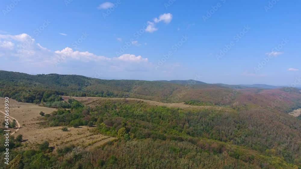 Flying over forest, aerial view of beautiful landscape trees Flying over forest, aerial view of beautiful landscape trees