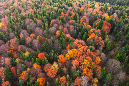Bird's-Eye View of Fall: Mountain Landscape in All Its Glory © maykal