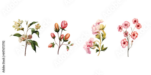 set of watercolor floral