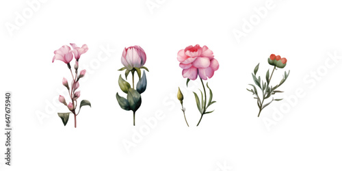 set of watercolor floral