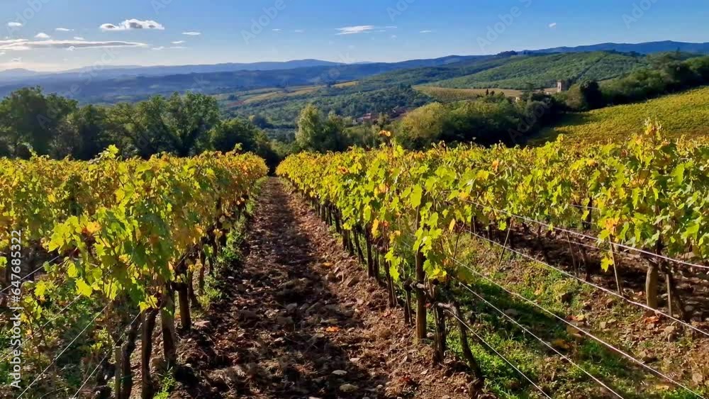 Italy, scenic Tuscany countryside. Golden autumn vineyards fields in Chianti region. Castello di Brolio. famous region for wine production Italy, scenic Tuscany countryside. Golden autumn vineyards fields in Chianti region. Castello di Brolio. famous region for wine production