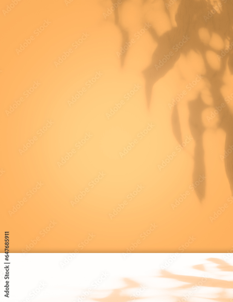 Background Summer Shadow Leaf on Table Product Beauty Cosmetic Spring Tropical, Overlay Flower on Wall Abstract Studio Room 3d