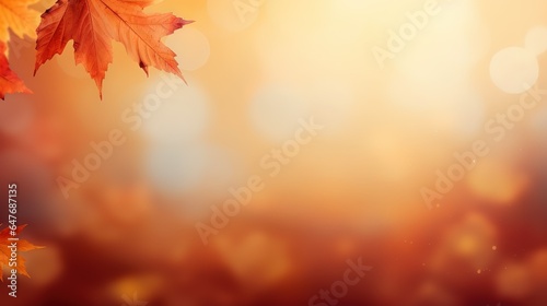 Autumn leaf on the background of autumn bokeh.