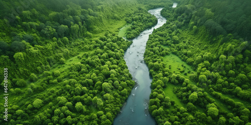 Serene Natural Landscape: Lush Green Forest