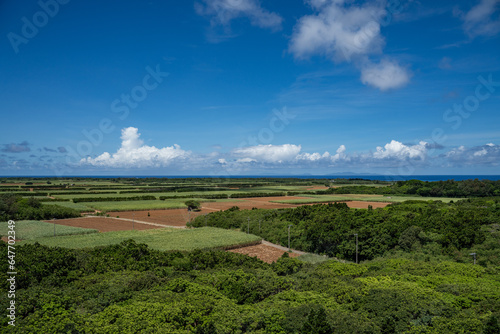 沖縄県多良間島の展望台から見た夏の風景