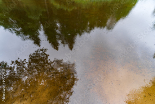 Reflection of trees in the water on the river, on a summer day in the forest in nature in Estonia. © Dmitri