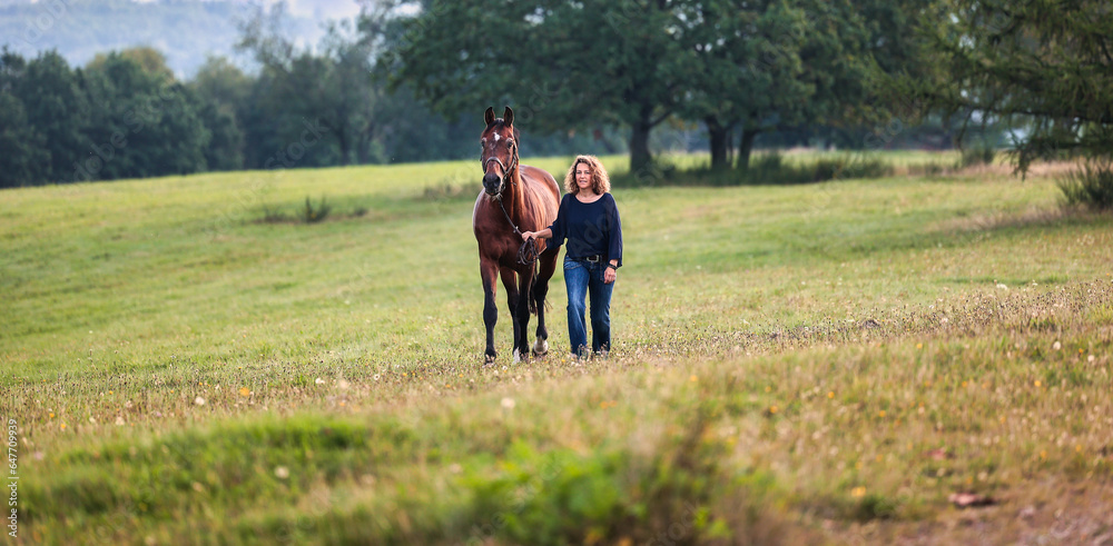 Horse is led by a woman on a rope across a meadow, with a blurry forest in the background..