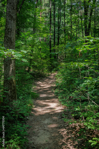 The Emerald Trail © Jason