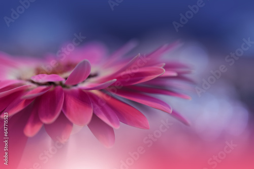 Beautiful Macro Photo.Colorful Flowers.Border Art Design.Magic Light.Close up Photography.Conceptual Abstract Image.Pink and Blue Background.Fantasy Floral Art.Creative Wallpaper.Beautiful Nature.