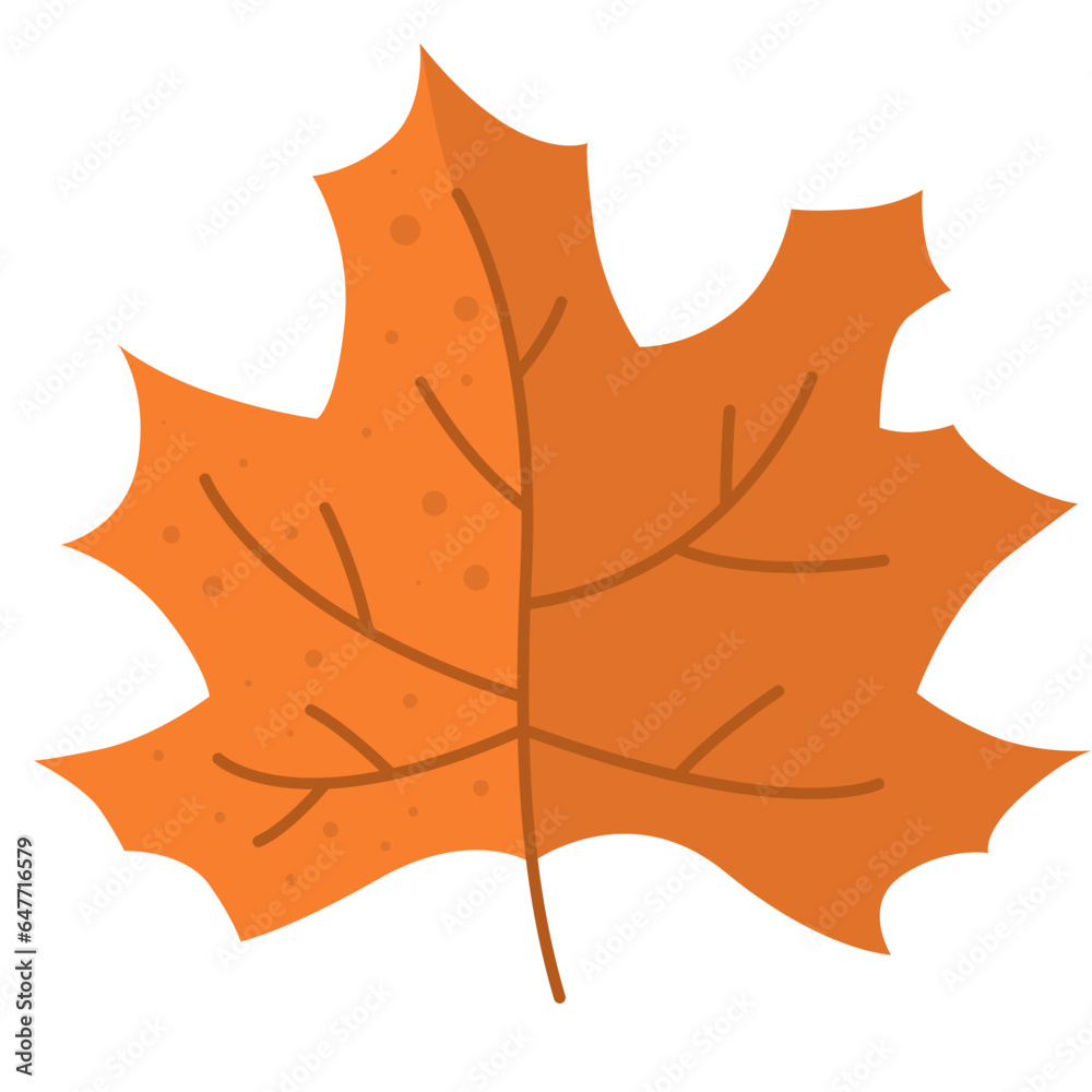 Obraz premium Autumn Leaf Illustration