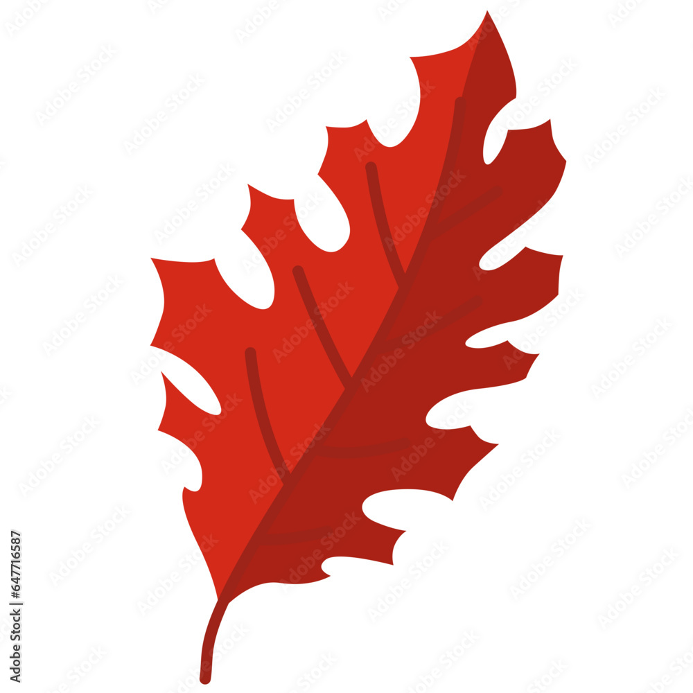 Naklejka premium Autumn Leaf Illustration