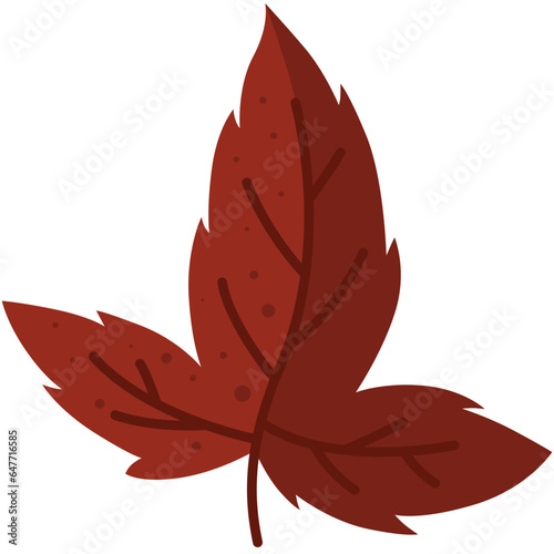 Autumn Leaf Illustration