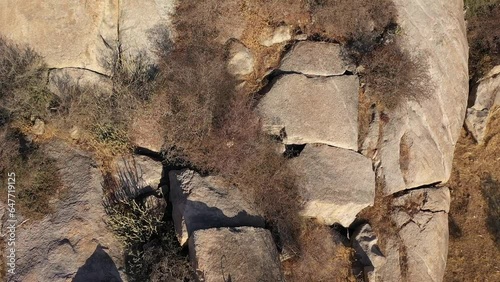 Monkeys jumping on rock slo motion in Rajasthan
