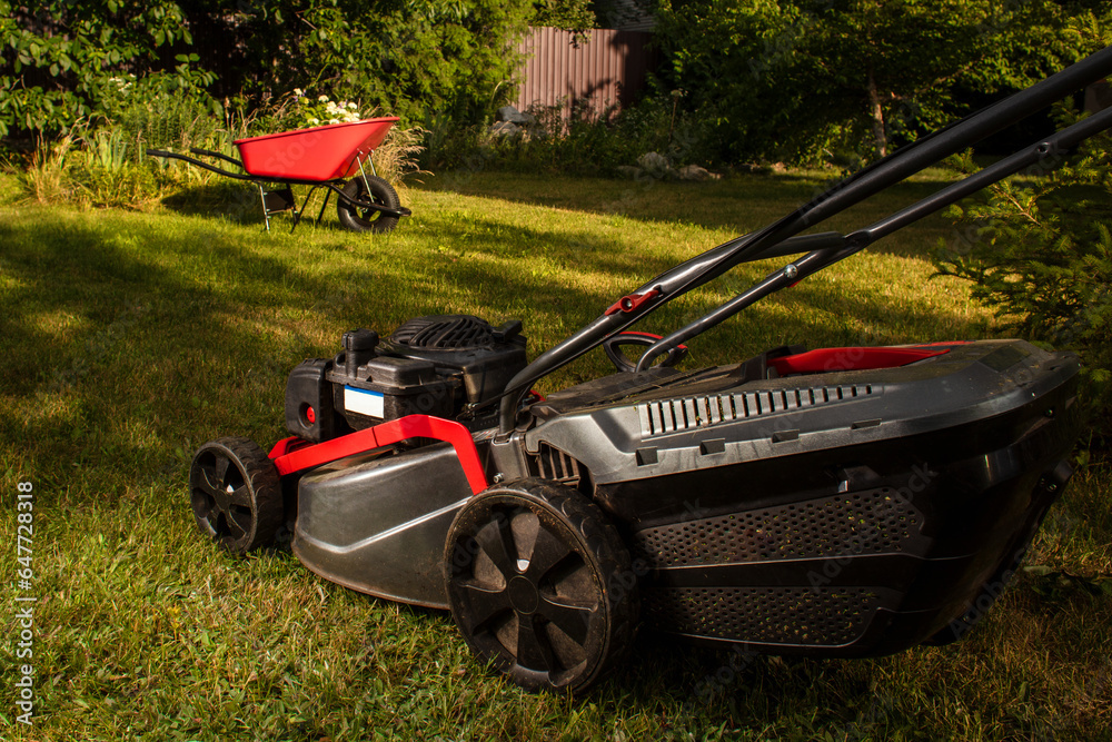 Fototapeta premium Concept of gardening, work, nature. Housework, gardening and country life. Home garden grass cutting woman mowing with lawn mower. Detail of lawn mower. Сutting grass in backyard. Sunny autumn day.