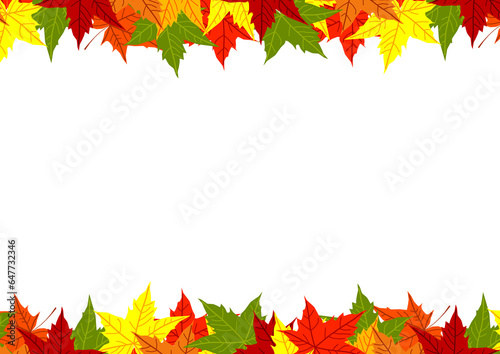 Autumn colorful fallen maple leaves isolated on white background. Border ornament of bright green yellow orange red dry acer leaf. Fall season. Presentation template. Invitation Card. Copy space.