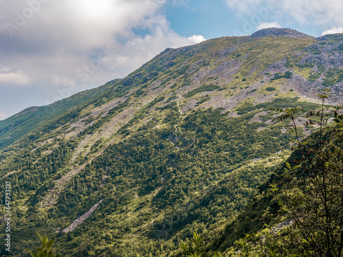 Fototapeta Naklejka Na Ścianę i Meble -  A view to the Babia Mountain Peak , Beskid Zywiecki Mountains, Poland