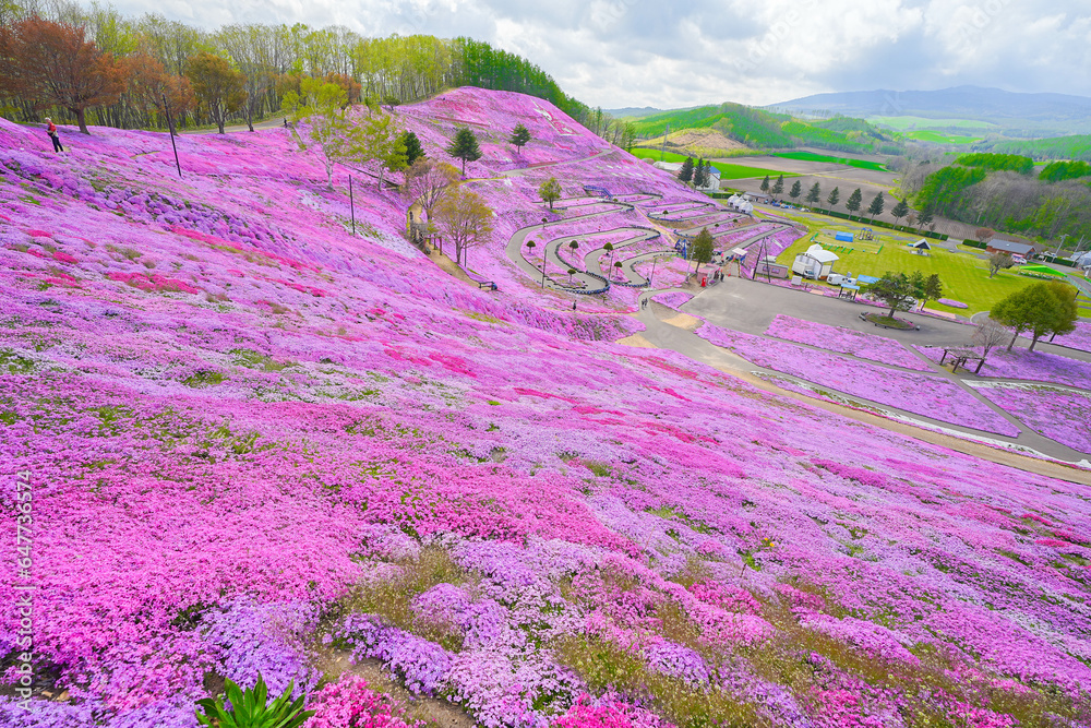 東藻琴芝桜公園 東藻琴芝桜公園