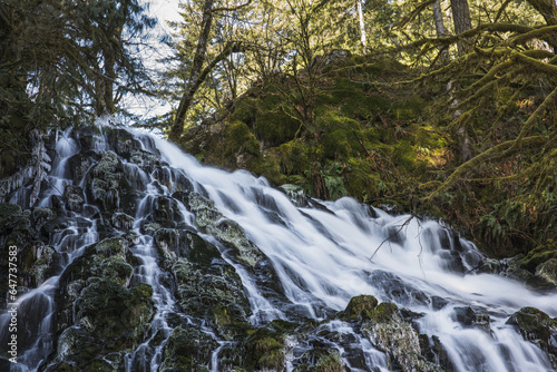 Fishhawk Falls, Lee Wooden County Park; Jewell, Oregon, United States Of America