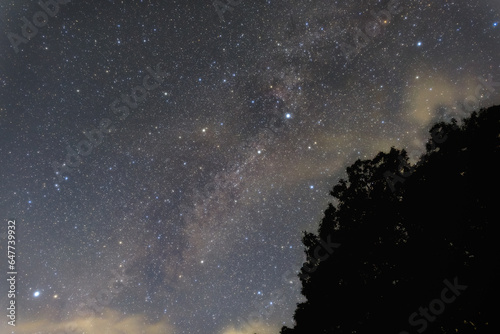 Cygnus above the milky way  summer stars of western sky in the mountain