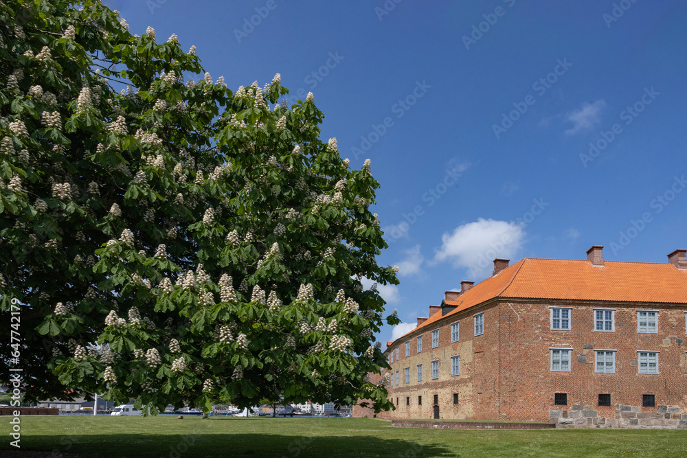 Sønderborg Castle -Walking in Sønderborg's streets, Sønderborg (German: Sonderburg), Southern Jutland: Synneborre) is a Danish city located on both sides of Als Sund,Denmark