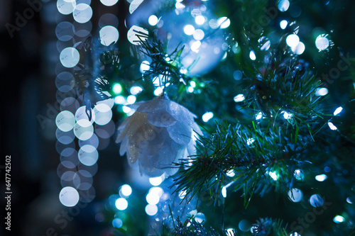 Close up of Christmas tree ...