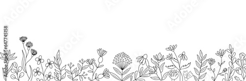 Wild blooming meadow flowers and herbs border. Horizontal banner, floral overlay backdrop. Botanical monochrome ink sketch style hand drawn vector illustration isolated on transparent background.