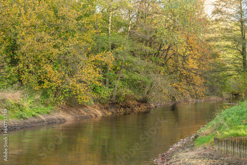 Autumn river with trees growing on the banks with foliage of different colors