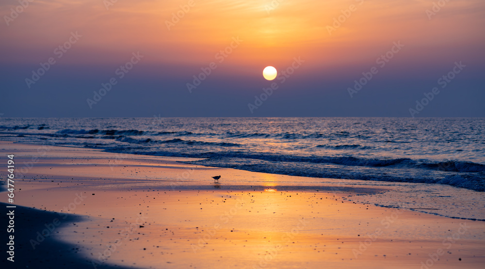 Obraz premium Sunset panorama of the beach of Juist island in National Park “Wattenmeer“ on the North Sea coast in Germany with colorful sky and reflection. Silhouette of small coastal bird dunlin (Calidris alpina)