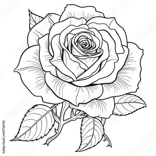 Rose flower coloring Book, Coloring page with roses